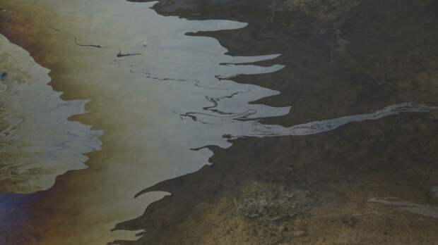 Анапа. Мазутный "апокалипсис": Власти перестали скрывать катастрофу