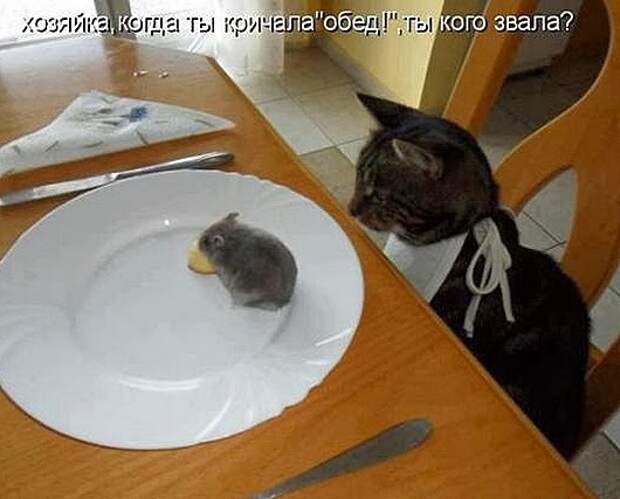 080279e35c47e7fd7127f1164cd_prev