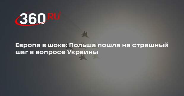 Финский политик Мема счел опасной идею Польши передать Украине истребители