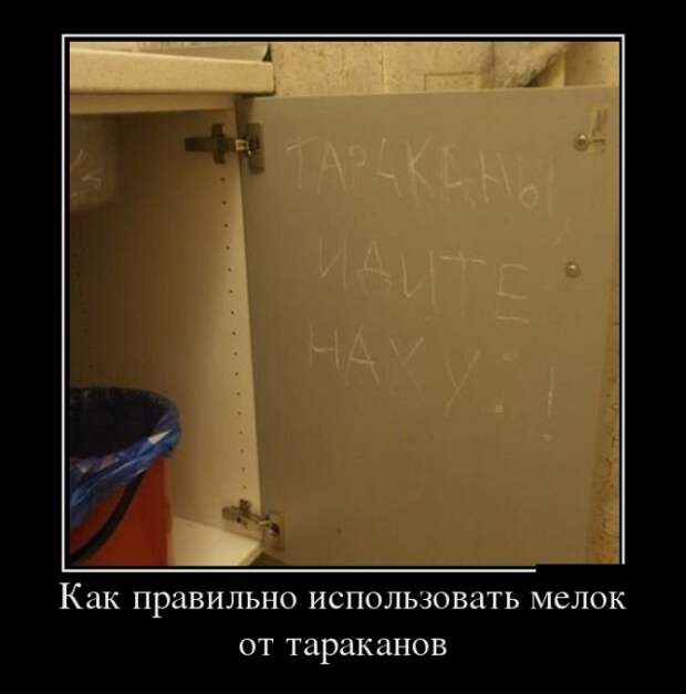 Демотиваторы