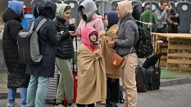 Володин призвал Минтруд решить вопрос с выплатами беженцам в двухдневный срок