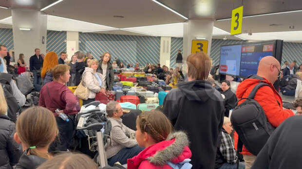 Коллапс в Шереметьево: пассажирам по несколько часов не могут выдать багаж