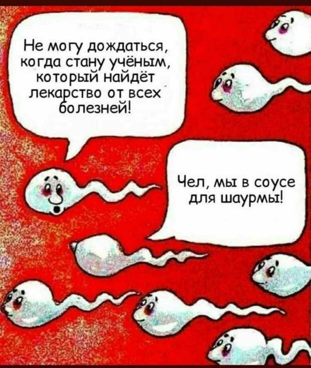 Немного странного и черного юмора