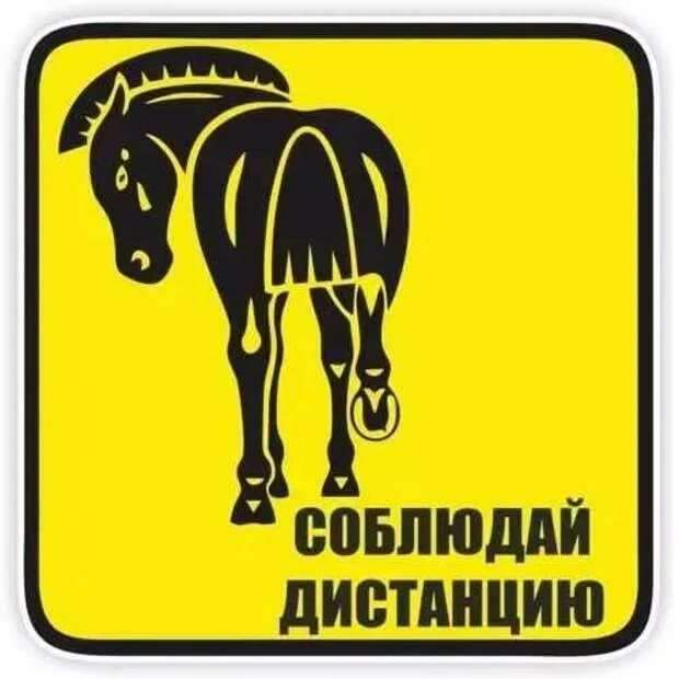 Предупреждающие таблички по коронавирусу. Подборкаchert-poberi-tablichki-koronavirus-30390614122020-15 картинка chert-poberi-tablichki-koronavirus-30390614122020-15