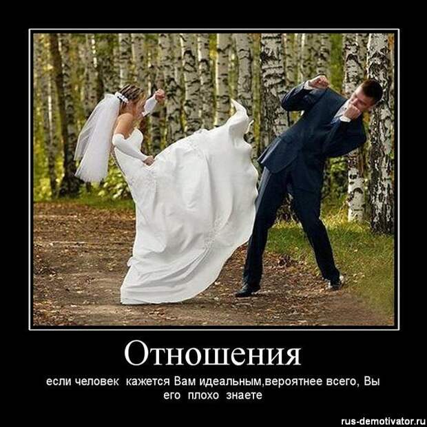 Похожее изображение