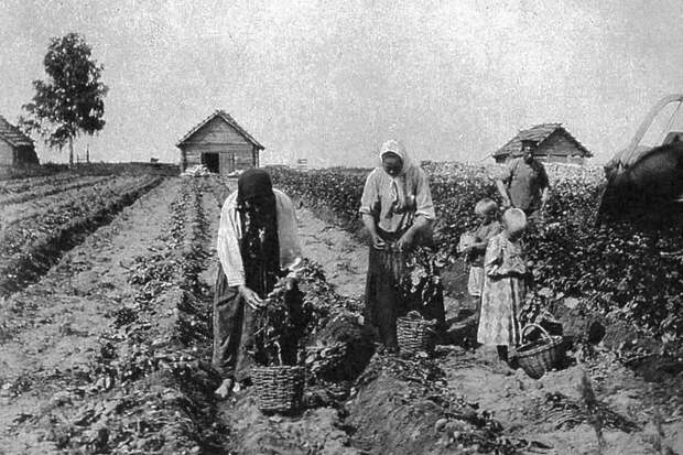 Чем на Руси занимались плевальщицы?