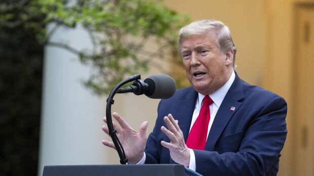 Дональд Трамп заявил, что стал жертвой расизма