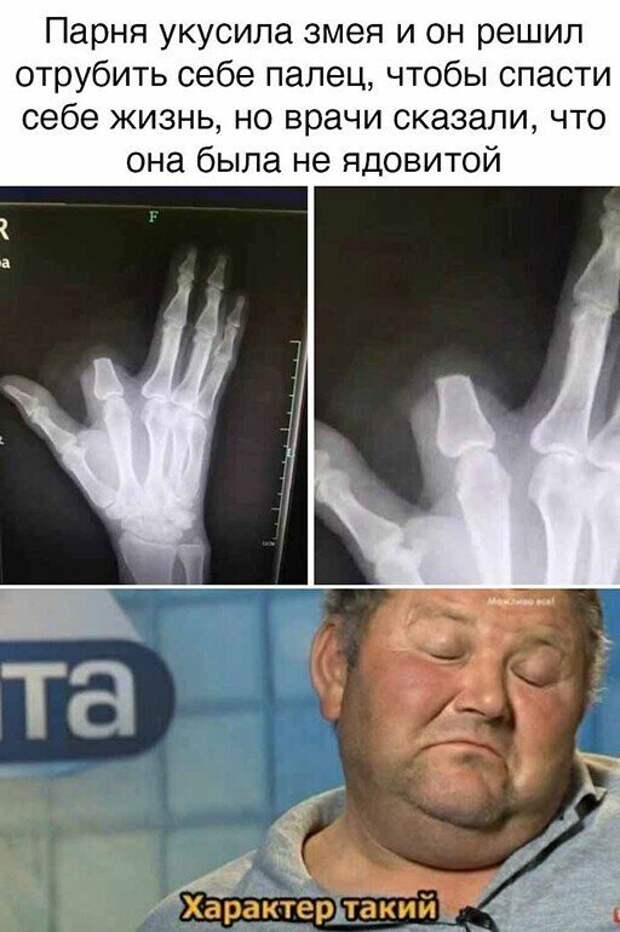 Смешные и познавательные картинки