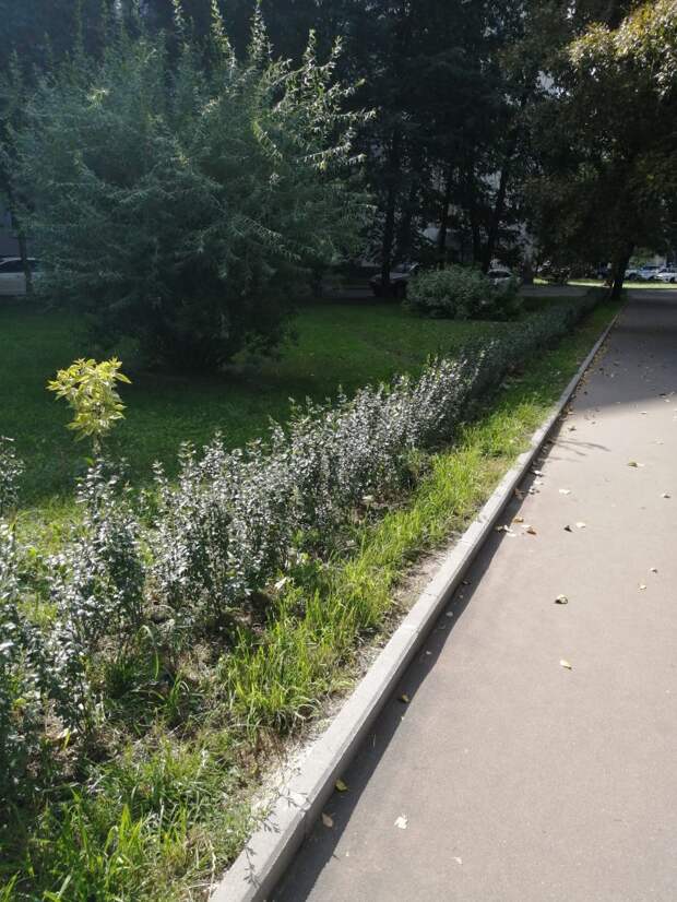 Фото: Мария Портнова