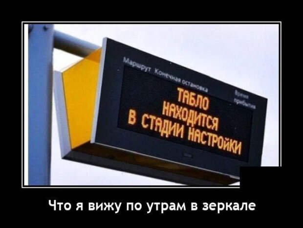 демотиватор
