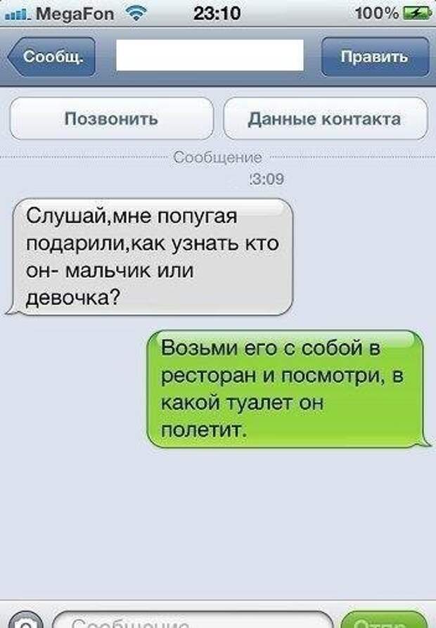 Невероятно милые и очень смешные смс, которые выражают "заботу" о ближнем