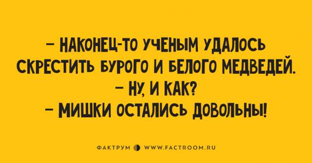 Весьма занятные анекдоты, которые читаются на одном дыхании Весьма занятные анекдоты, которые читаются на одном дыхании