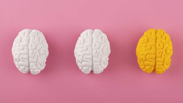 Гериатр Прощаев: хронический стресс истощает мозг, но его отсутствие еще хуже