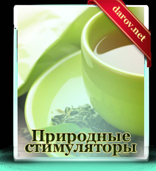 Природные стимуляторы - чай, кофе, матэ