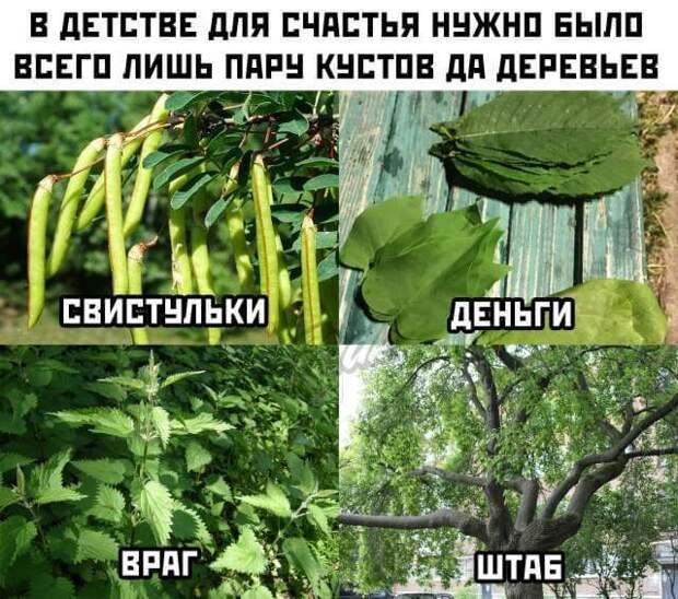 Смешные фото вечер 24 августа 2020