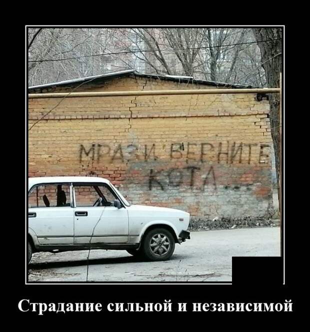 Демотиваторы (20 фото)