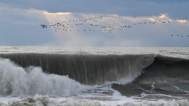 «Природа дает сигнал»: ученые предупреждают о поворотных событиях в 2026 году