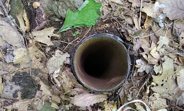 Туристы кинули камеру в странную трубу в глухом лесу: на глубине в 38 метров послышались голоса