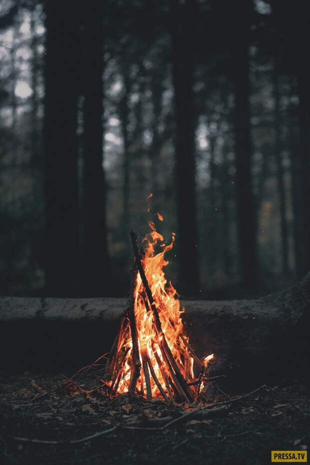 Прикольные фотографии - Субботний выпуск (53 фото)