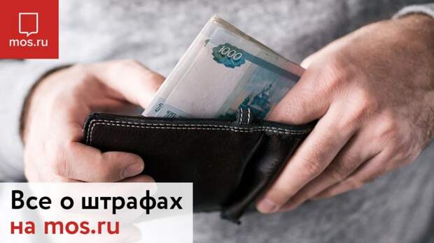 Водители могут оплатить штрафы на сайте mos.ru. Фото: mos.ru