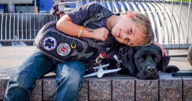 dog-saves-little-boy-middle-of-night-4-1024x538