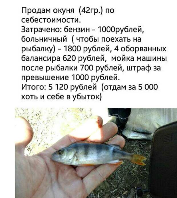 Во время урока закона Божьего кюре спрашивает ученика...