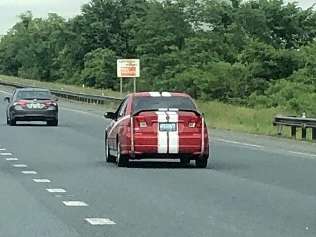 Автовсячина