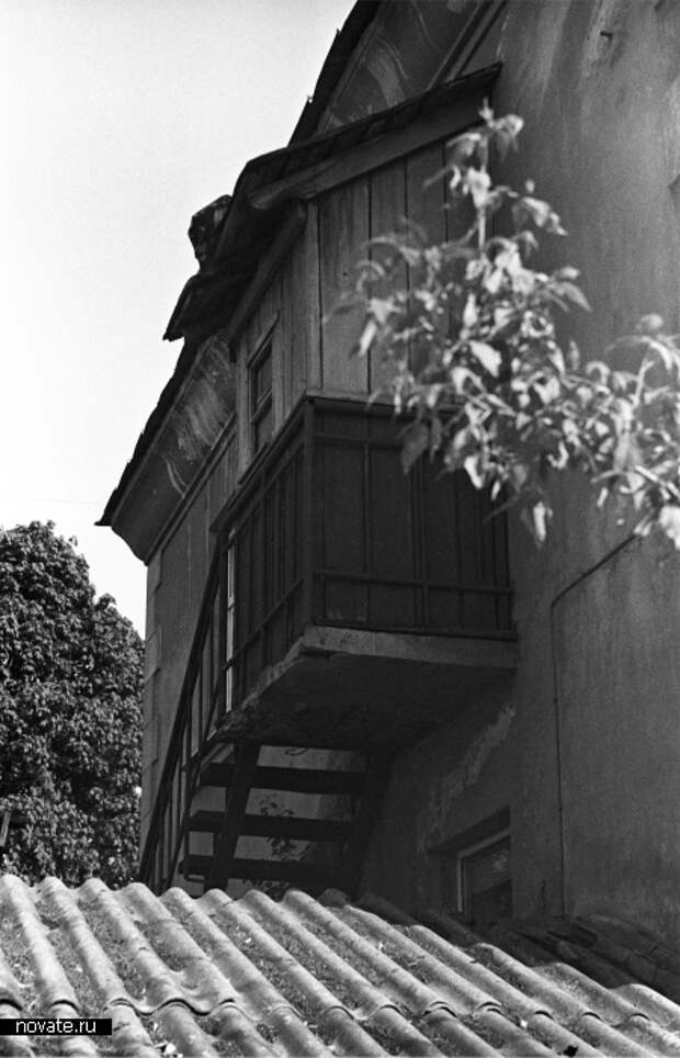 Ну чисто Одесса! / Фото: Дина Тацоха Ну чисто Одесса! / Фото: Дина Тацоха