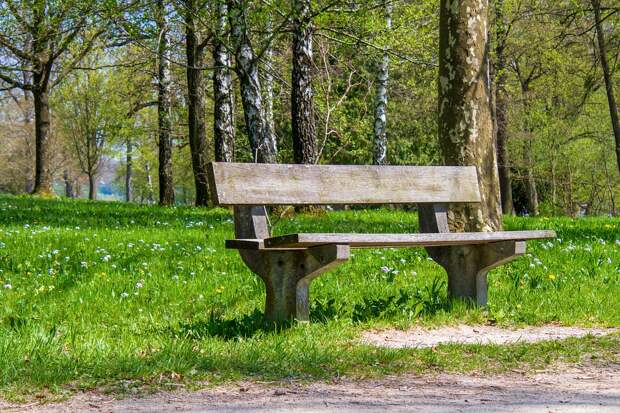 Качество воздуха в Москве продолжает улучшаться. Фото: pixabay.com