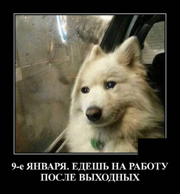 Демотиваторы (20 фото)