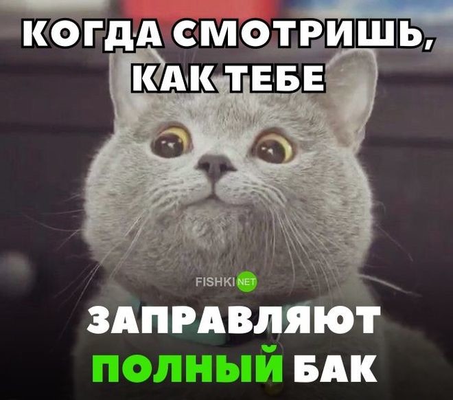 Подборка автомобильных приколов авто, автомобильный, автоприкол, автоприколы, одборка, прикол, приколы, юмор