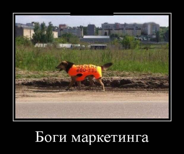Демотиваторы (30 фото)