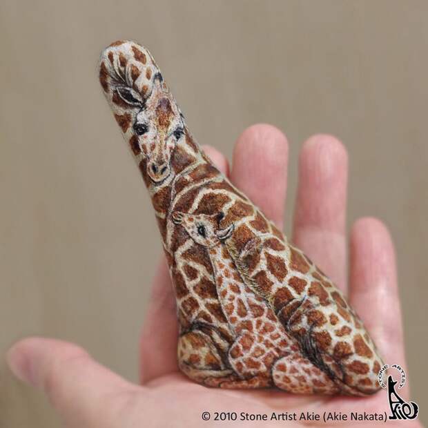 Блог - Японка превращает камни в реалистичных животных Японка превращает камни в реалистичных животных