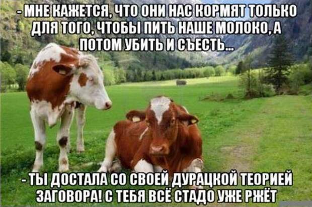 Подборка комиксов и карикатур