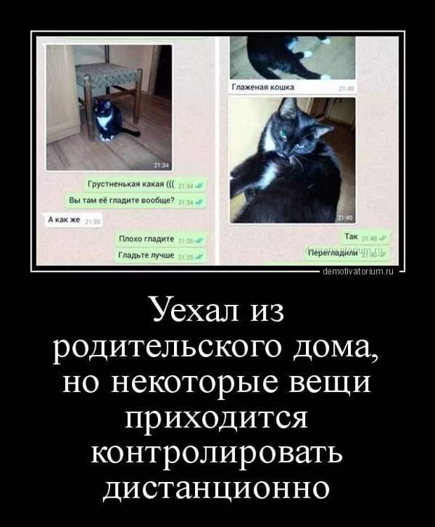 Смешные комментарии. Подборка chert-poberi-kom-chert-poberi-kom-09040703092020-7 картинка chert-poberi-kom-09040703092020-7