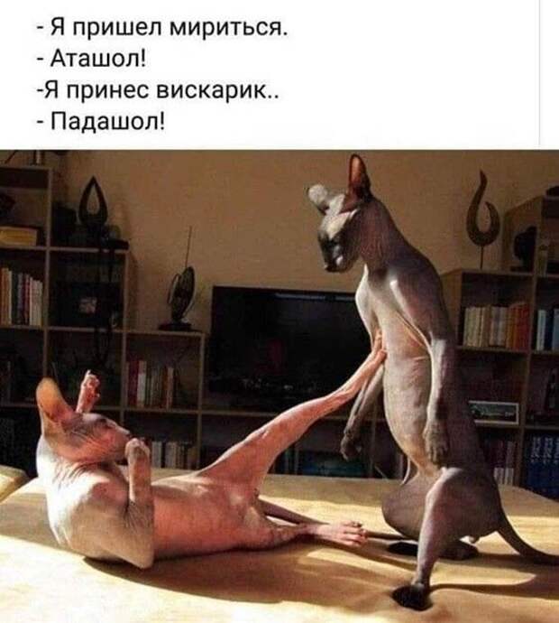 1-28.jpg