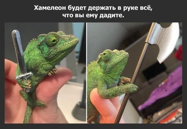 Вась, помнишь ту блондинку, с которой я в баре познакомился? Вась, помнишь ту блондинку, с которой я в баре познакомился?