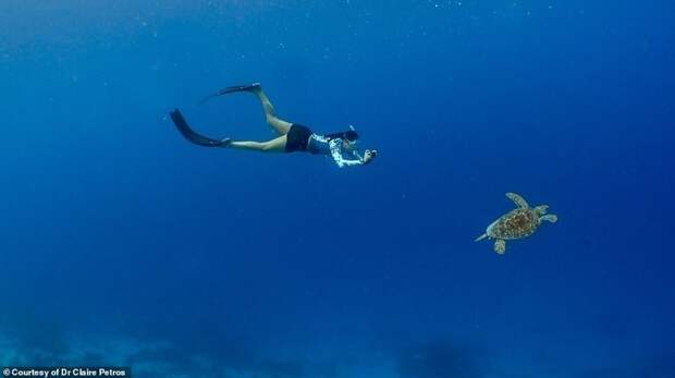 Доктор Айболит из Лондона на спасении морских черепах