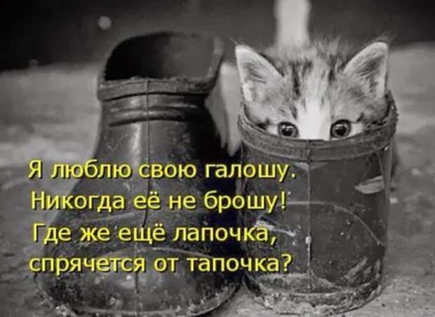 f8ff4484a90f53a50788a7ea256_prev