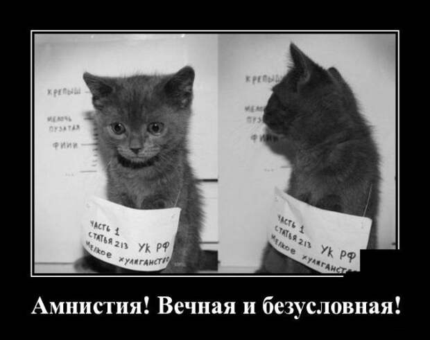 1591970249_demotivatory_01.jpg