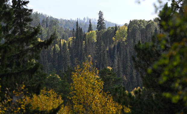 В красноярской тайге могут находиться обломки уникального метеорита