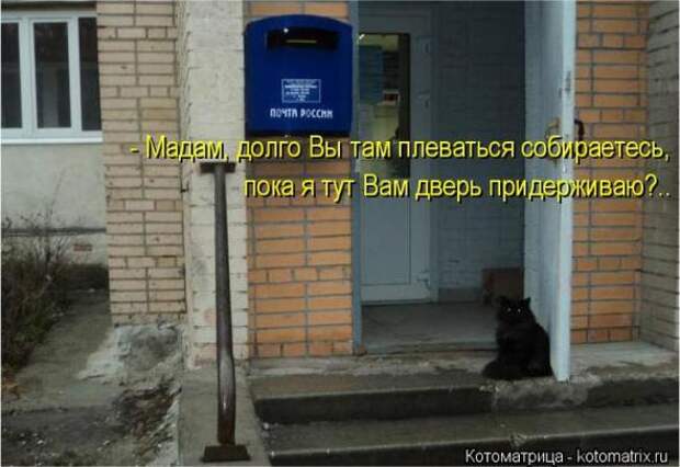 Котоматрицы (картинки с надписями)