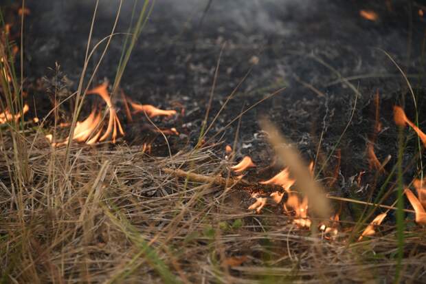 В Ивановской области объявили о начале пожароопасного сезона с 21 апреля