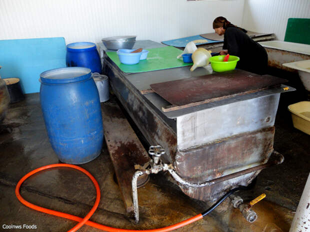 Ванна для молока