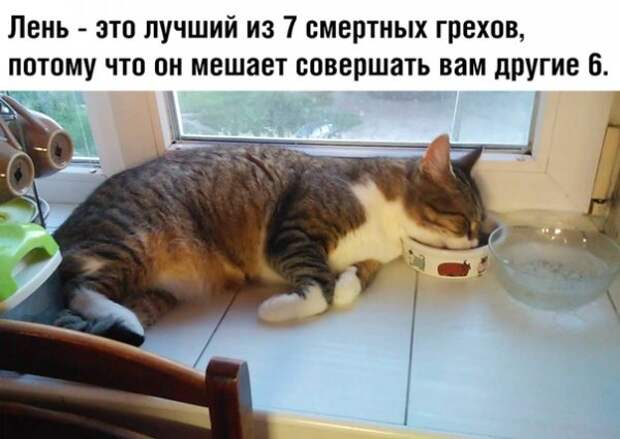 насобиралок пост