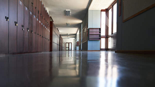 РИА Новости: в школах Молдавии учат, что Гитлер придумывал величайшие военные планы