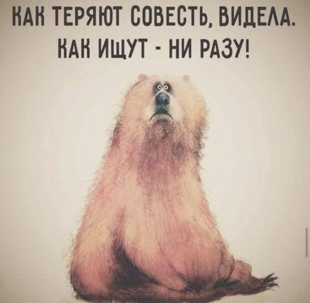 Очень смешные классные картинки