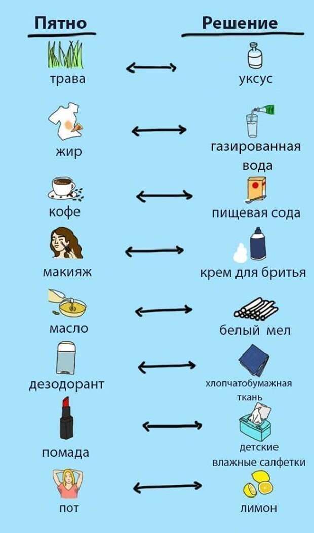 Шпаргалки для тех, кто хочет стать настоящим эрудитом Шпаргалки для тех, кто хочет стать настоящим эрудитом