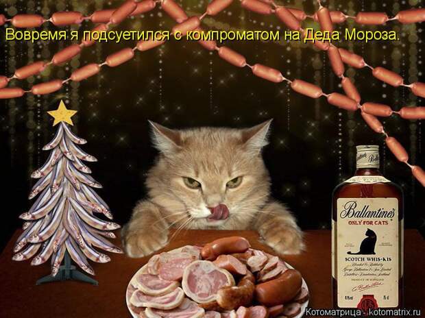 Котоматрица: Вовремя я подсуетился с компроматом на Деда Мороза.