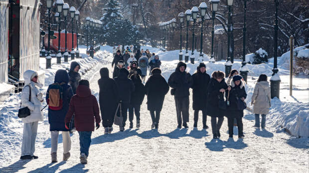 ФРГ стала лидером по запросам убежища в России среди стран ЕС